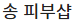 송 피부샵